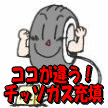 ^̗pIfKX[U